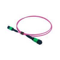 NVIDIA/Mellanox MFP7E10 Compatible IB Cable